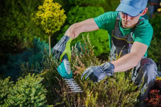 landscaping services Ardsley
